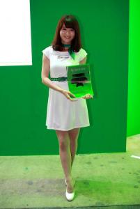 Tokyo Game Show 2013