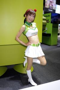 TGS 2013