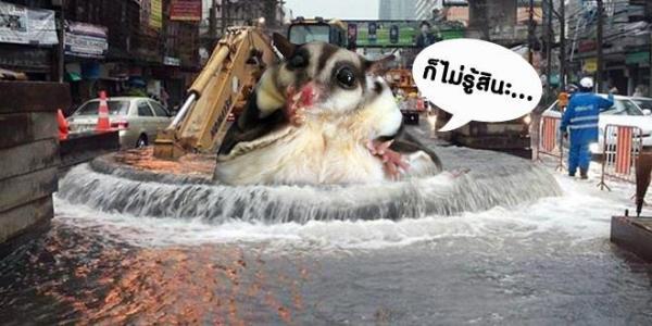 ท่อแตก