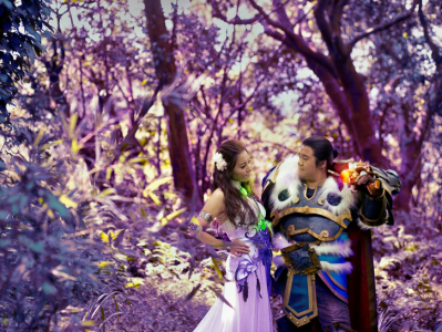 แต่งงาน Warcraft