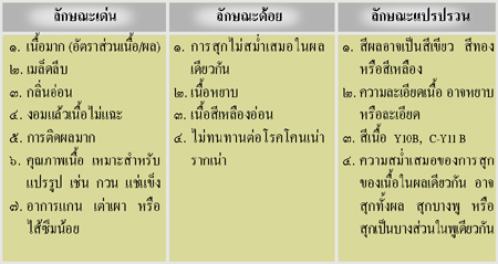 ลักษณะเด่น ลักษณะด้อย และลักษณะแปรปรวนของทุเรียนพันธุ์การค้า