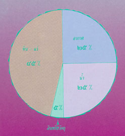 องค์ประกอบของดิน