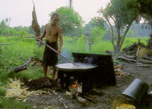 การเลี้ยงหมูในประเทศไทย
