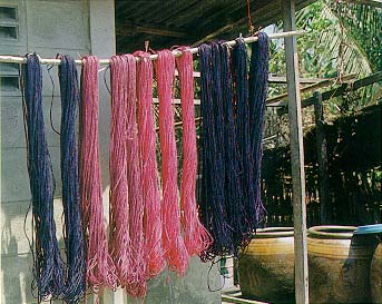 ป่านศรนารายณ์ (sisal)