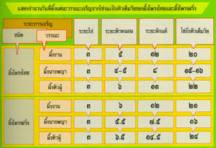 วงจรชีวิตและสังคมผึ้ง