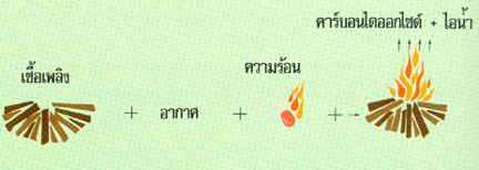 การเผาไหม้เชื้อเพลิงทำให้เกิดมลพิษ