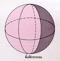 พื้นที่ผิวของรูปทรงที่เกิดจากการหมุน