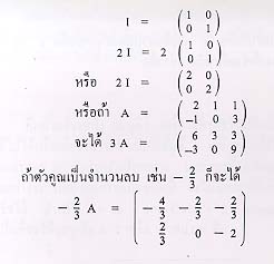 การคูณเมตริกด้วยค่าคงที่