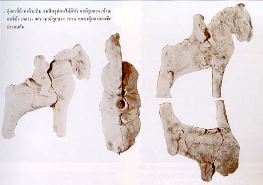 การแพทย์สมัยโบราณของประเทศอินเดียและจีน