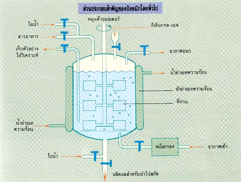 เทคโนโลยีการหมัก