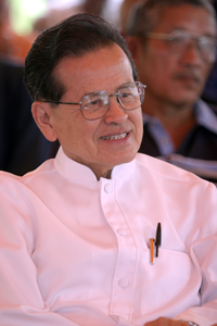 ศาสตราจารย์ นายแพทย์ประเวศ วะสี