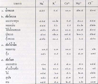 ความสมดุลของของเหลวในร่างกาย