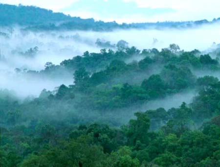 อุทยานแห่งชาติน้ำหนาว