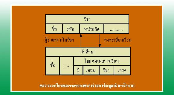 แบบจำลองข้อมูลเชิงเครือข่าย (Network Data Mode)