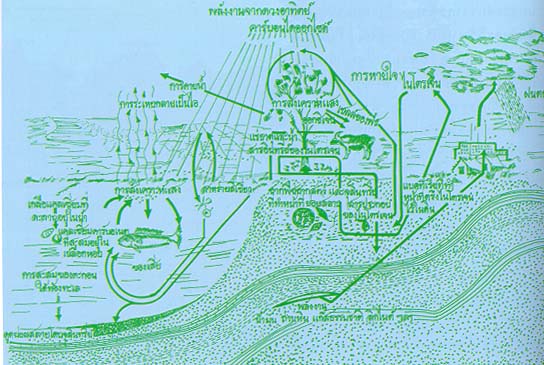 ระบบนิเวศในธรรมชาติ