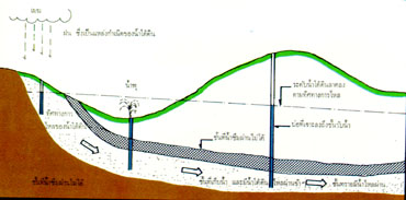 กรรมวิธีในการทำน้ำประปา