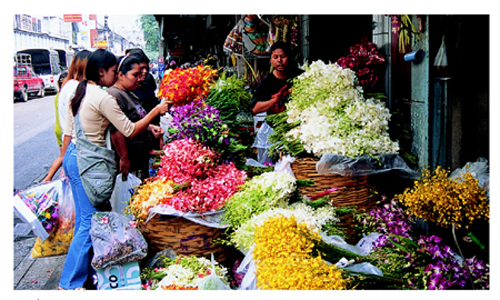 ประเภทของตลาด