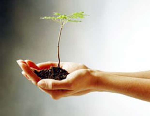 วันคุ้มครองโลก Earth Day ประวัติและความเป็นมา