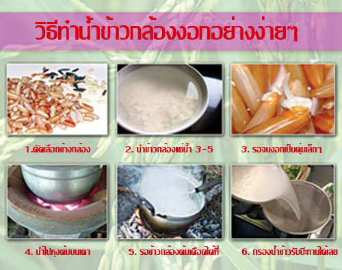 น้ำข้าวกล้องงอก