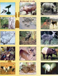 วันคุ้มครองสัตว์ป่าแห่งชาติ 26 ธันวาคมของทุกปี