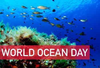 วันทะเลโลก World Ocean Day