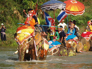 ประเพณีบวชช้าง