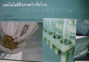เทคโนโลยีชีวภาพกับการเกษตร