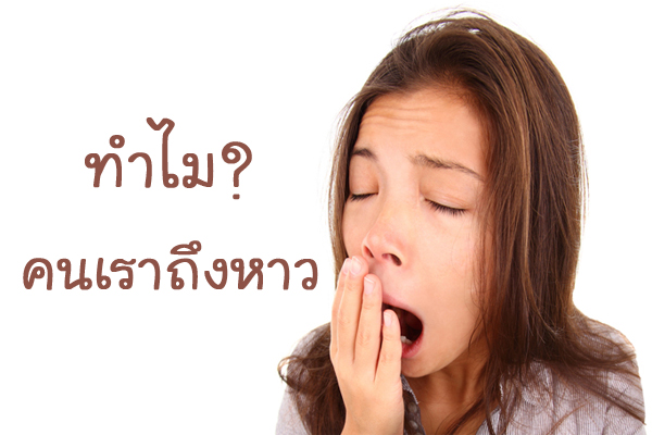 อาการหาว เกิดจาก