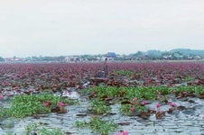 ประเทศไทยได้ตกลงเข้าร่วมเป็นภาคีอนุสัญญาว่าด้วยพื้นที่ชุ่มน้ำ