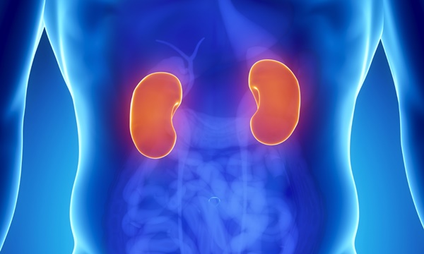 นิ่วในไต อาการโรคนิ่วในไต สาเหตุ และวิธีป้องกัน