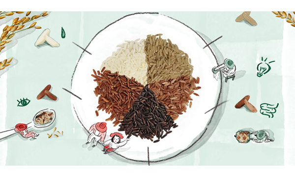เทรนด์ใหม่! “ทานข้าวอินทรีย์” อร่อยดีแถมมีประโยชน์อีกเพียบ เทรนด์ใหม่! “ทานข้าวอินทรีย์” อร่อยดีแถมมีประโยชน์อีกเพียบ