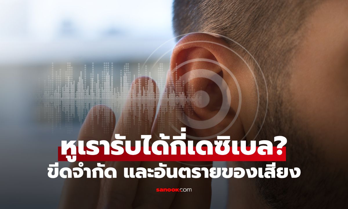 หูเรารับได้กี่เดซิเบล? ทำความเข้าใจขีดจำกัดและอันตรายของเสียง