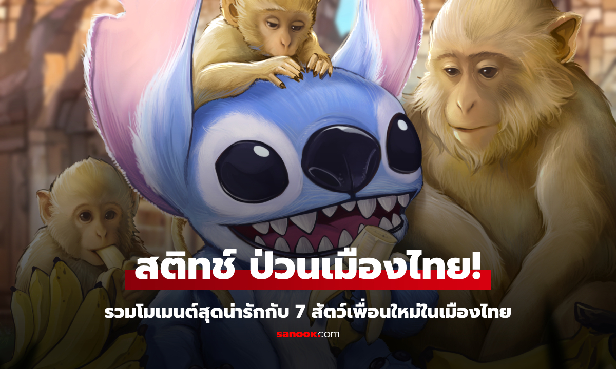 สติทช์ ป่วนเมืองไทย! รวมโมเมนต์สุดน่ารักกับ 7 สัตว์เพื่อนใหม่ในเมืองไทย