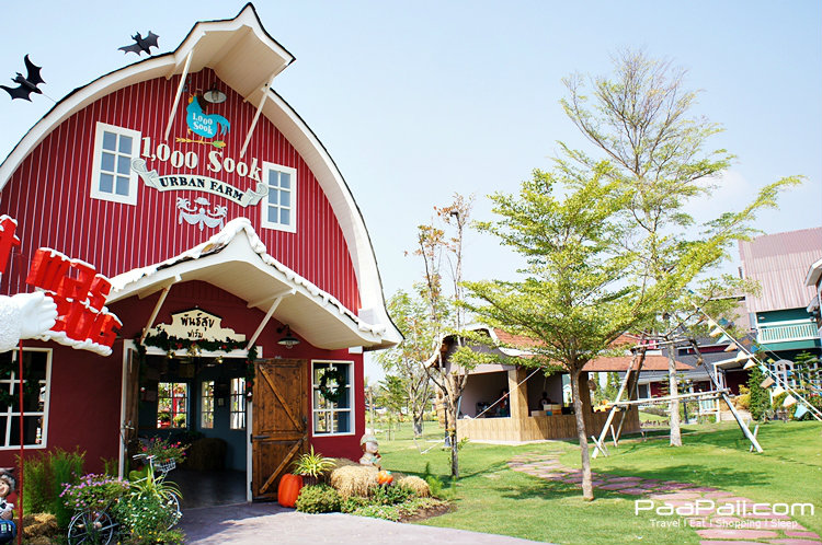 1,000 SOOK ฟู๊ด แอนด์ ฟาร์ม ที่เที่ยวชิคๆ ในชะอำ