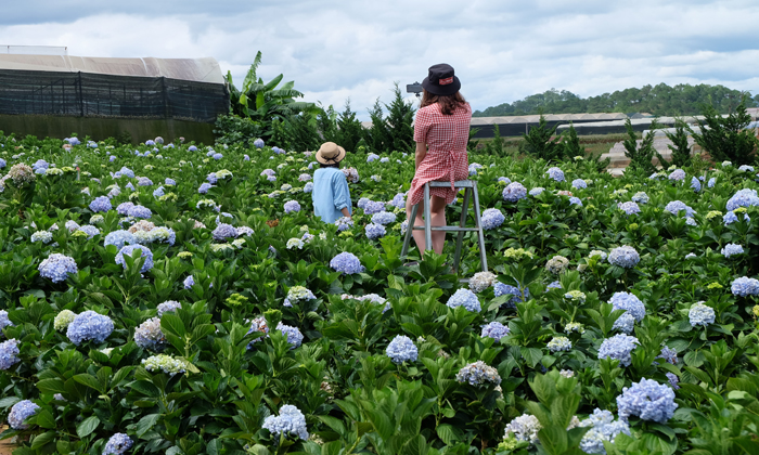8 แลนด์มาร์คต้องห้ามพลาด เมืองดาลัด ประเทศเวียดนาม