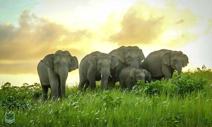 อุทยานแห่งชาติเขาใหญ่ ติดอันดับ 100 World\'s Greatest Places 2021 จากนิตยาสาร Time