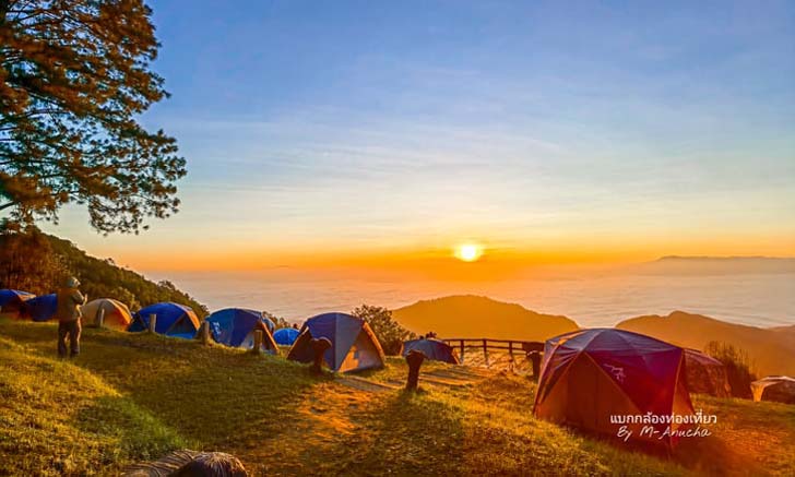 จุดกางเต็นท์ม่อนสน ดอยอ่างขาง วิวระดับล้านเปิดเต็นท์มาปะทะทะเลหมอก!