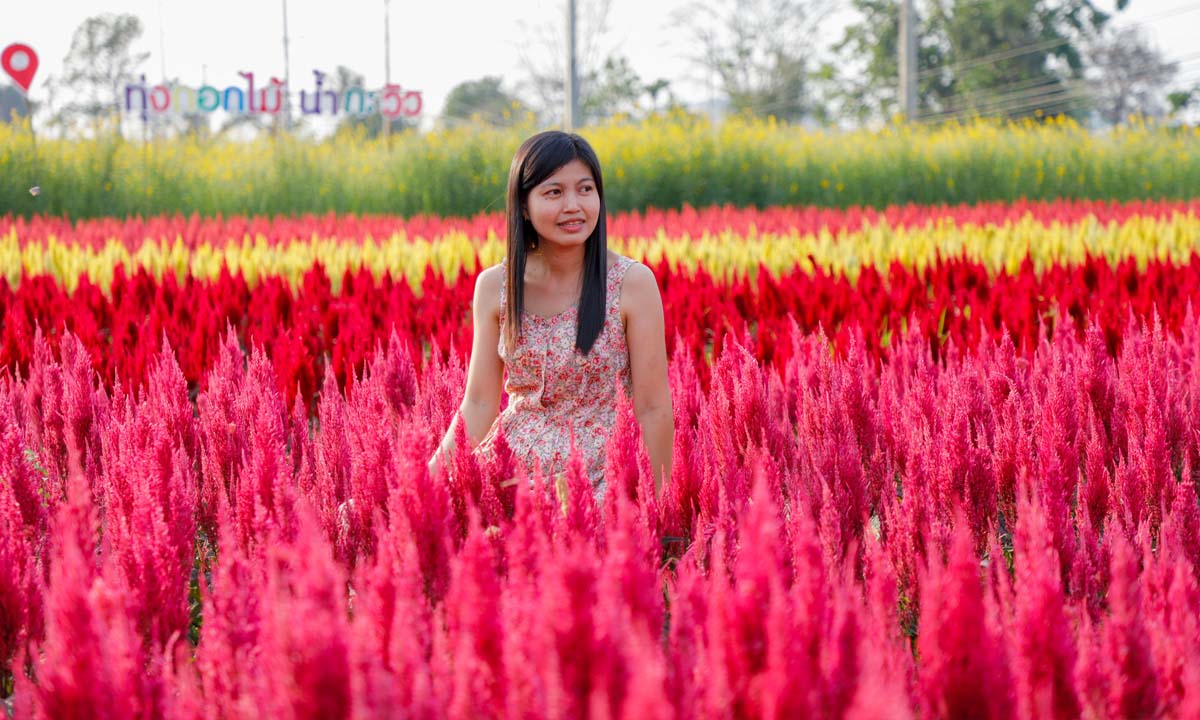 บ้านสวนน้ำกะวิว สวนดอกไม้สีสันสวยงาม ที่เที่ยวใหม่บุรีรัมย์
