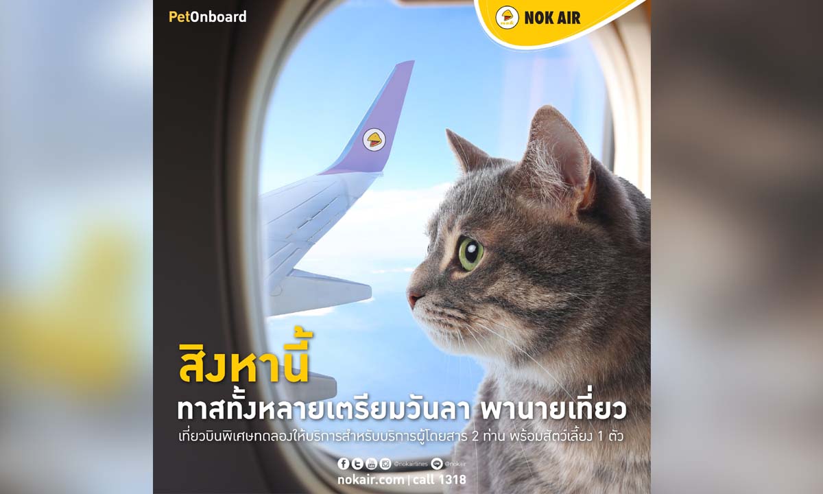ทาสทั้งหลายเตรียมพานายเที่ยว! สิงหาคมนี้นกแอร์เตรียมเปิดให้พาสัตว์เลี้ยงขึ้นเครื่องได้