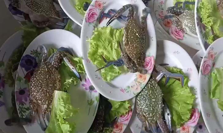 ร้านซีฟู้ดทุกอย่าง 20 งบน้อยก็กินซีฟู้ดได้แบบจัดเต็ม!