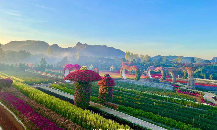 Maple Gardens สวนดอกไม้ที่สวยที่สุดแห่งหนึ่งของเมืองกาญจน์ 1 ปีเปิดเพียง 1 ครั้ง!