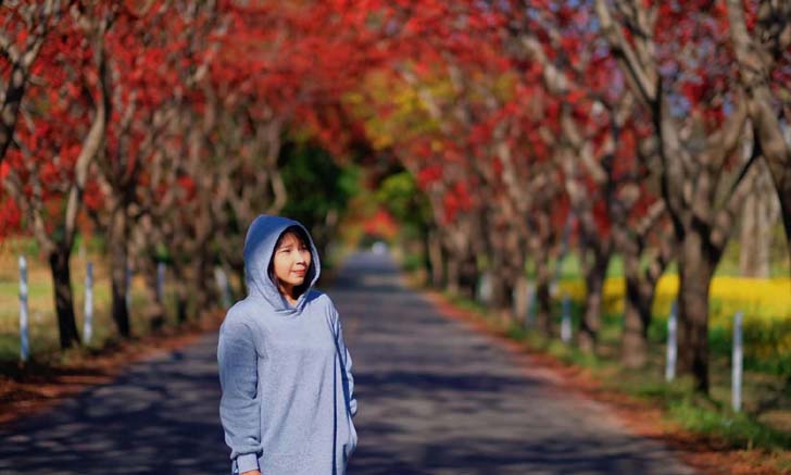 อุโมงค์ดอกประดู่แดง มุมถ่ายรูปสวยใกล้กรุงเทพฯ