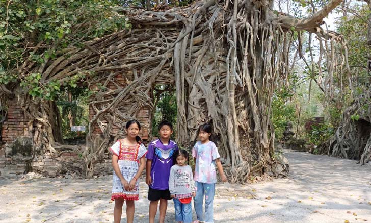เปิดพิกัดท่องเที่ยวแห่งใหม่ ต้นโพธิ์รูปช้าง ที่นครนายก