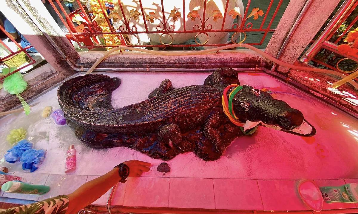 อาบน้ำจระเข้โทน วัดลำบัวลอย พิกัดสายมูที่กำลังมาแรงที่สุดในตอนนี้!