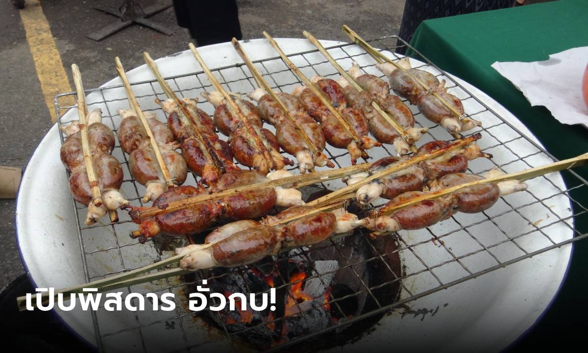 อั่วกบ ยัดไส้ เมนูแปลกพิสดาร หาทานยากในเมืองไทย!