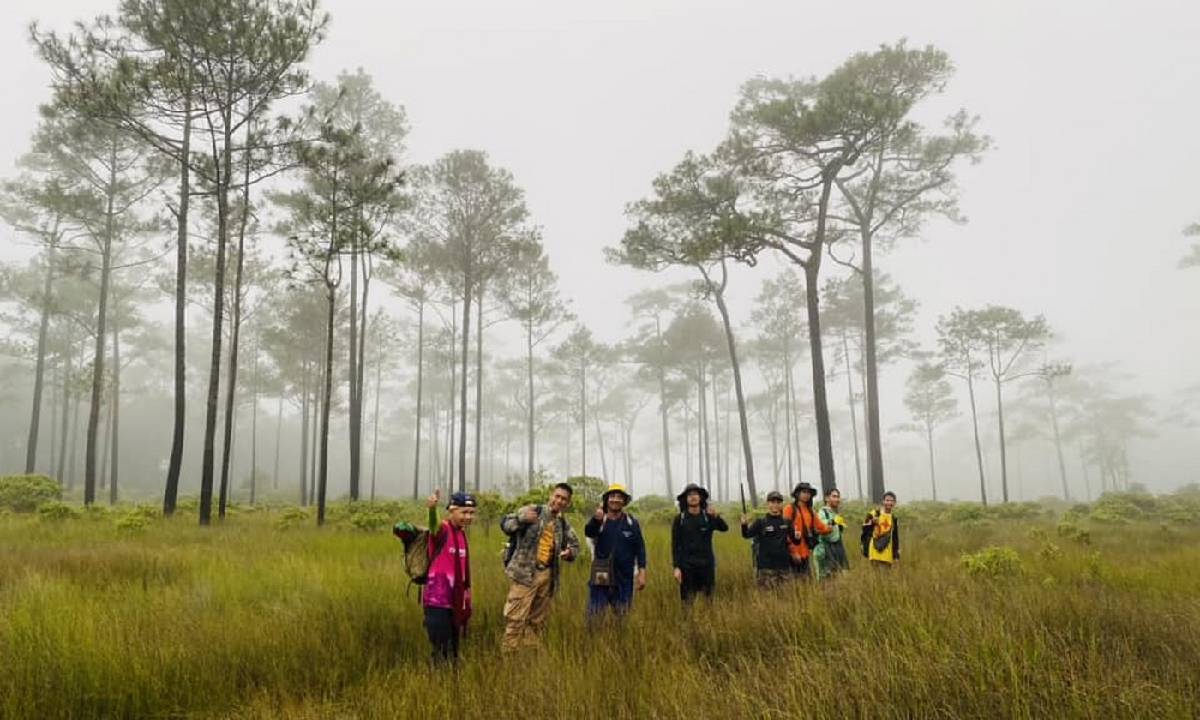 ป่าทุ่งแสลงหลวง ปลายฝนต้นหนาว สัมผัสดอกไม้ ป่าสน บนลานหิน ท่ามกลางไอหมอก