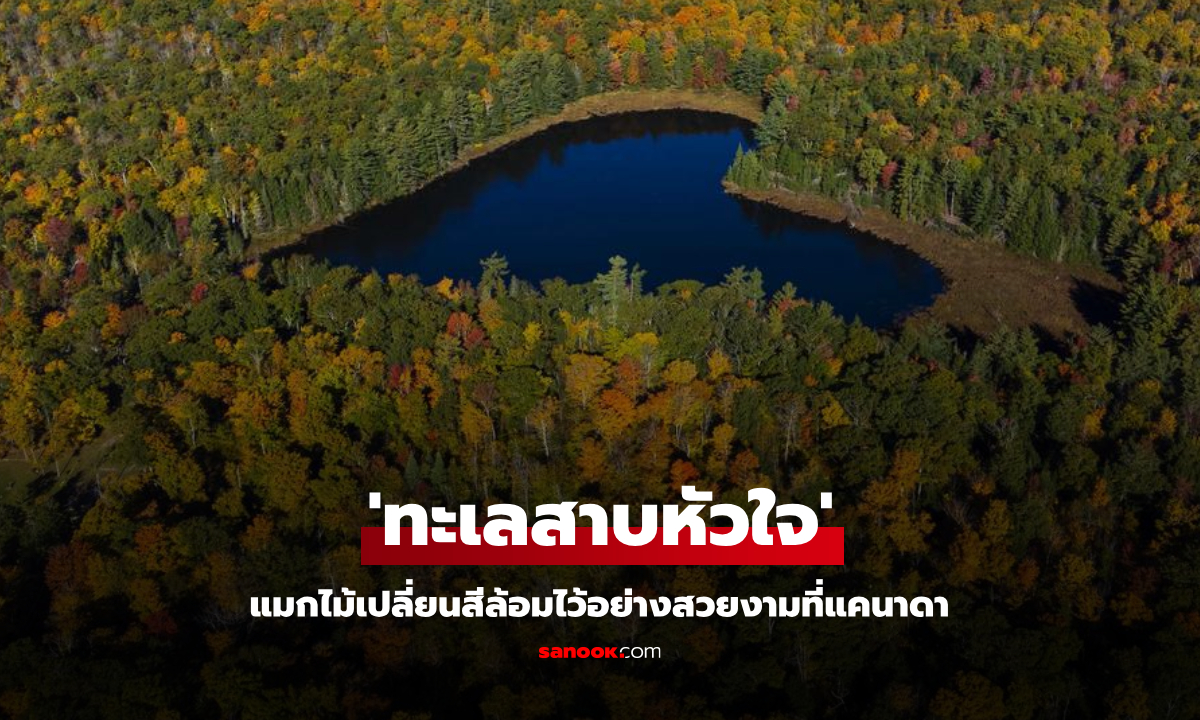 แมกไม้เปลี่ยนสีล้อม \'ทะเลสาบหัวใจ\' ในแคนาดา