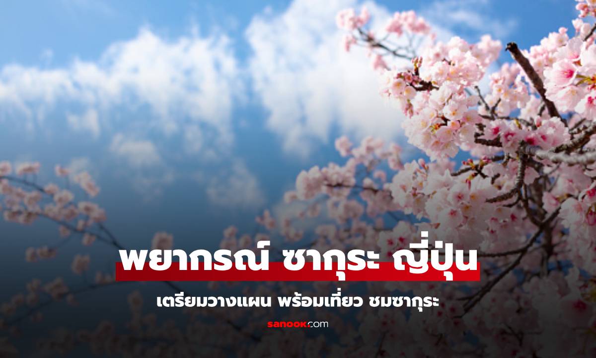พยากรณ์ซากุระ ญี่ปุ่น 2025 เริ่มบานช่วงไหน วางแพลนไปเมืองไหนดี