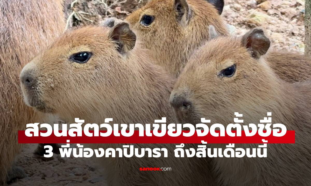 สวนสัตว์เปิดเขาเขียว ต้อนรับ \