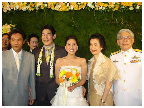 นภ พรชำนิ